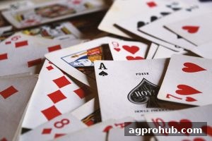 AG真人签到积分兑换全攻略：轻松赚取奖励的正确姿势