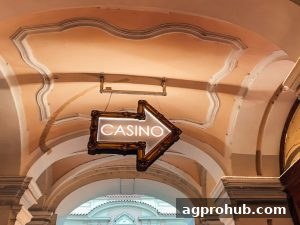 AG真人签到金币获取全攻略：高效累积与兑换技巧