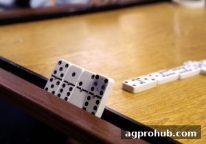 AG真人玩家必读：扑克胜率计算全攻略，轻松提升决策力